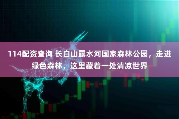 114配资查询 长白山露水河国家森林公园，走进绿色森林，这里藏着一处清凉世界